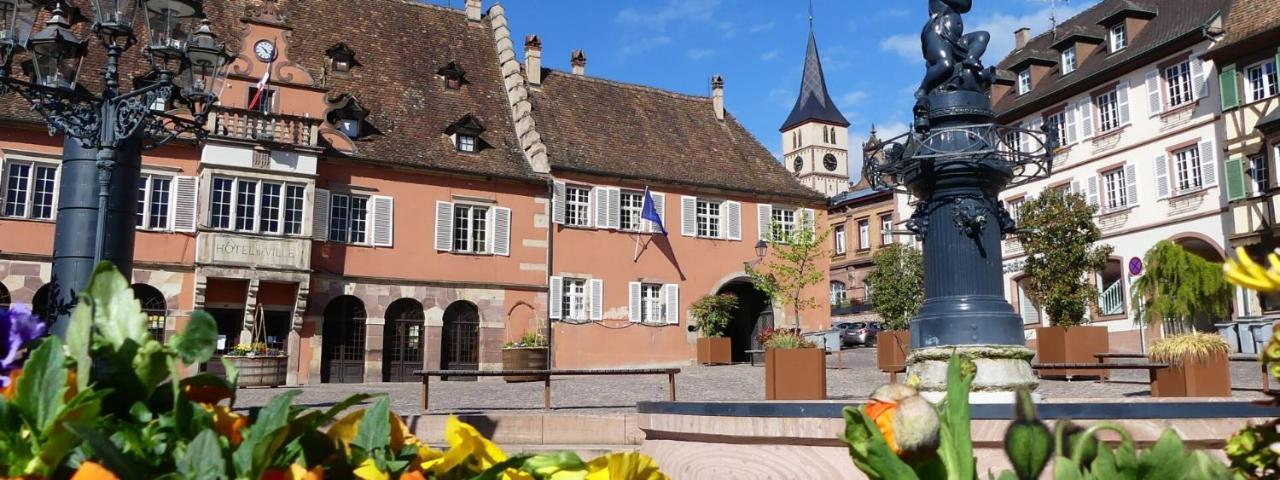 La Curiosite - Appartement 2 Chambres A Barr, Route Des Vins D'Alsace Ngoại thất bức ảnh