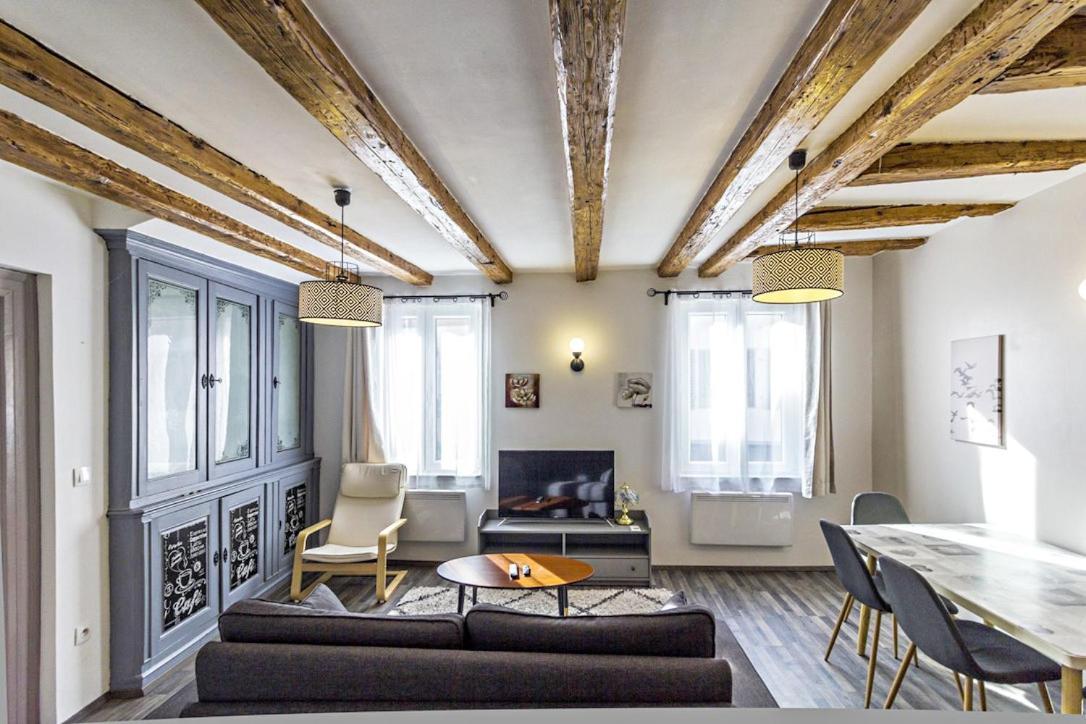 La Curiosite - Appartement 2 Chambres A Barr, Route Des Vins D'Alsace Ngoại thất bức ảnh
